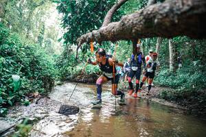 BIB: 
                            <button type="button" onclick="openModal(25369544)" class="btn btn-primary btn-sm float-right btn-popup" data-toggle="modal" data-target=".modal-high-quality">
                        <i class="fas fa-shopping-cart"></i> Add to Cart
                    </button>
                                            <button type="button" onclick="isThisMe(25369544, true)" class="btn btn-success btn-sm float-right btn-popup btn-isme hidden" data-toggle="tooltip" data-placement="bottom" title="นี่คือรูปของคุณใช่ไหม คลิกที่นี่เพื่อเอาเข้าอัลบั้ม">
                        <i class="fas fa-plus"></i> Add to album
                    </button>
                    <button type="button" onclick="isThisMe(25369544, false)" class="btn btn-warning btn-sm float-right btn-popup btn-isnotme hidden">
                        <i class="fas fa-ban"></i> Remove from album
                    </button>